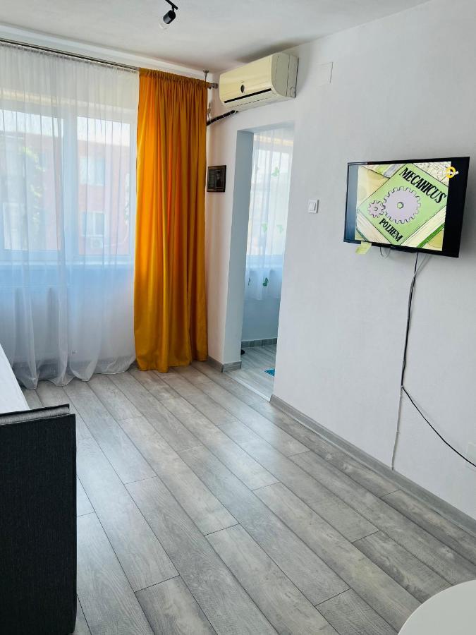 Miha Modern And Central Apartament Arad Exteriér fotografie